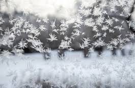 Snow-stitched silence