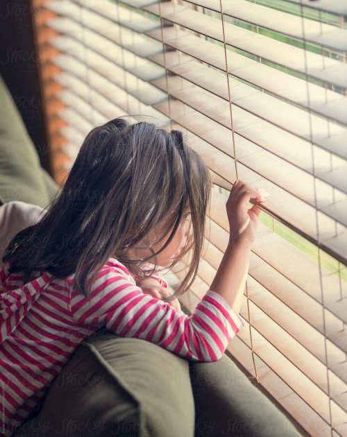 Stillness in the&nbsp;Driveway