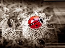 Neverland is a&nbsp;Direction